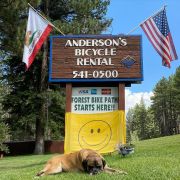 Anderson&#039;s Bicycle Rental photo