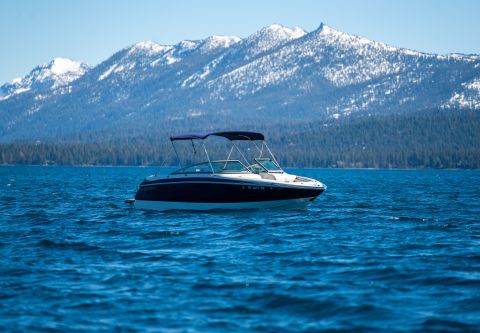 Sunnyside Marina & Watersports, 24' Cobalt Boat Rental
