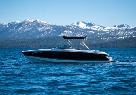 Sunnyside Marina & Watersports, 27' Cobalt Boat Rental