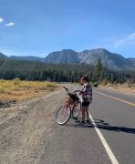 Anderson&#039;s Bicycle Rental photo