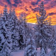 Tahoe Donner photo
