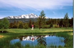 Lake Tahoe Golf Course &amp; Clubhouse photo