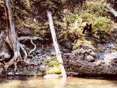 IRIE Rafting photo