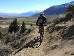 Bike Tahoe photo