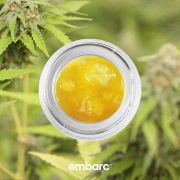 Embarc Tahoe photo