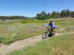 Bike Tahoe photo