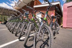 Truckee River Bikes photo