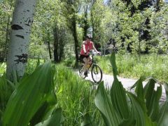 Bike Tahoe photo