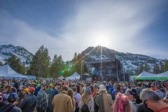 WinterWonderGrass Festival photo