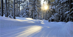 Tahoe XC photo