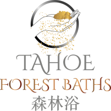 Tahoe Forest Baths Tahoe Forest Baths
